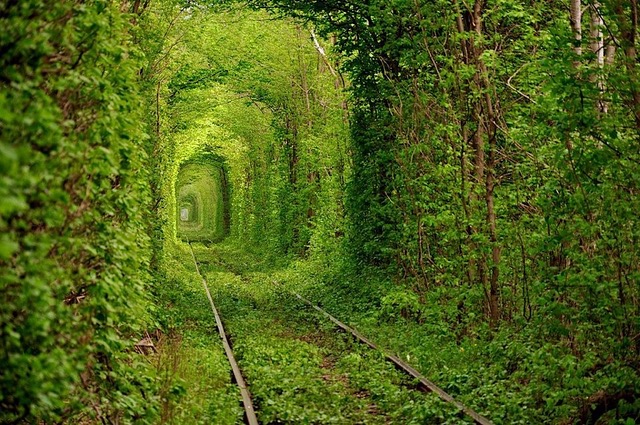 Tunnel de l'amour