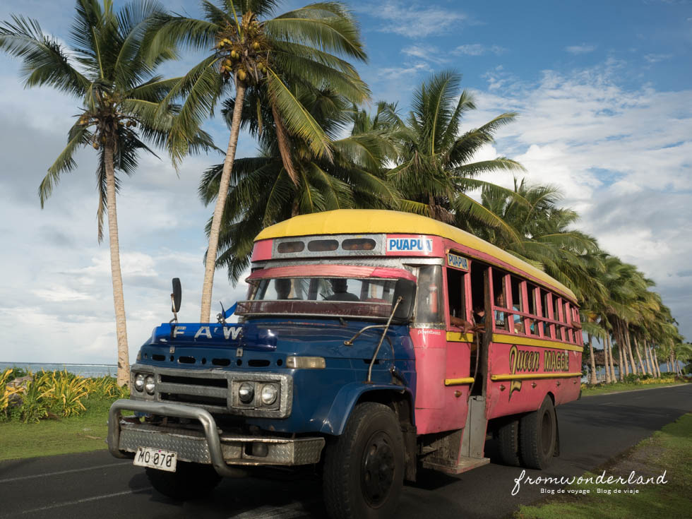 Les bus colorés pour aller à la plage 