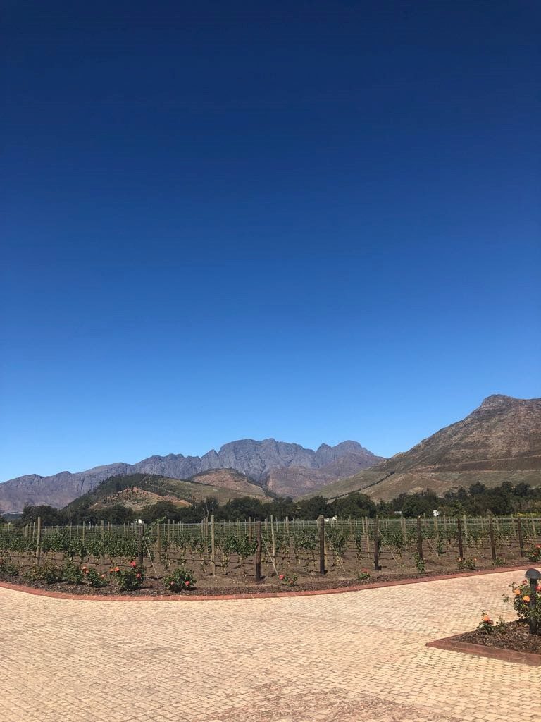 La région des vins - Cape Town