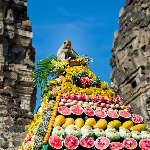 Singe lors du festival en Thaïlande