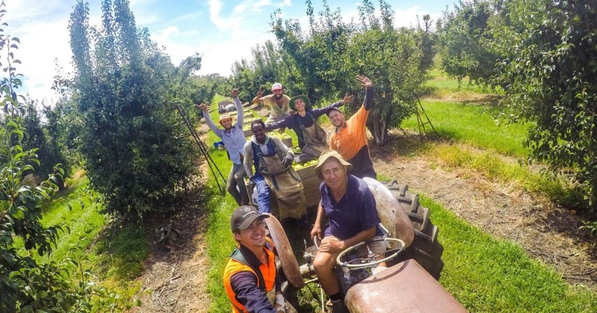 Travail dans les fermes australiennes