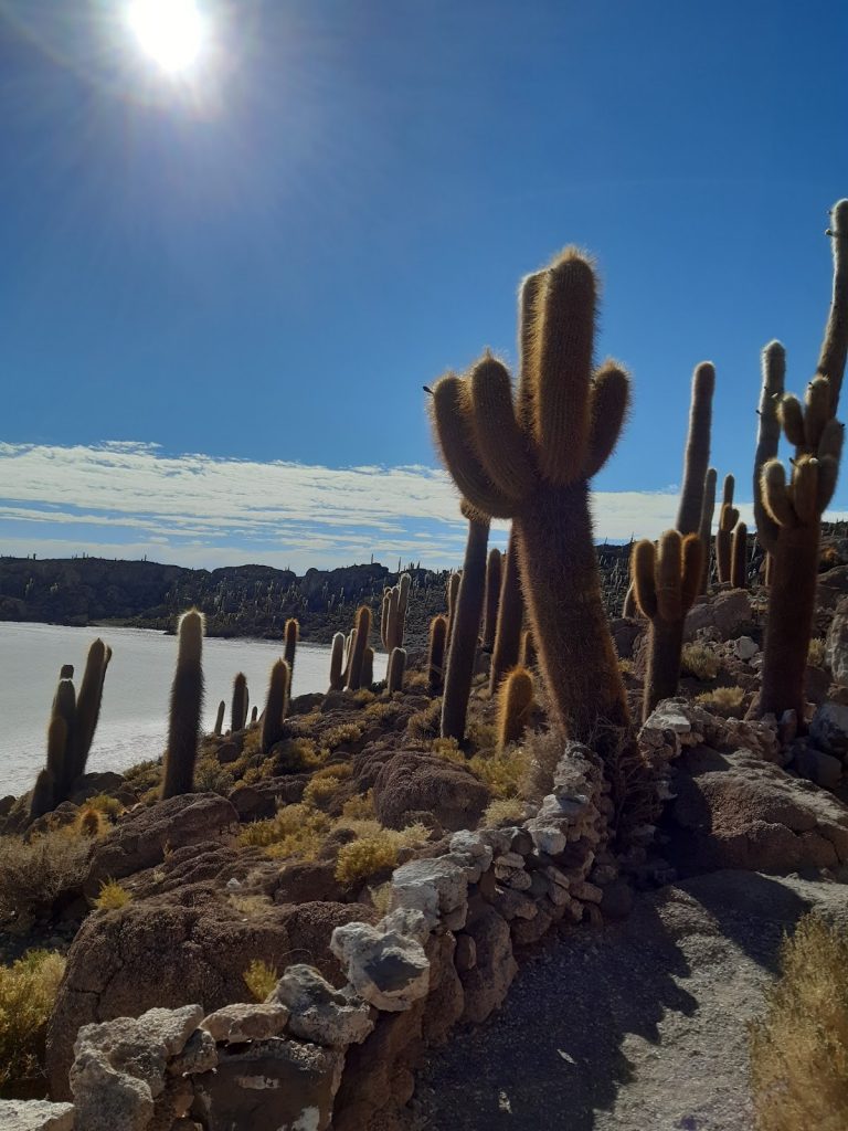 Lac d'Incahuasi au coeur du Salar d'Uyuni