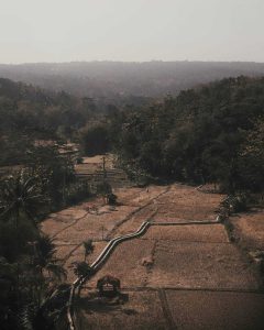 La campagne javanaise