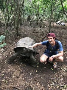 Tortues-Tanzanie