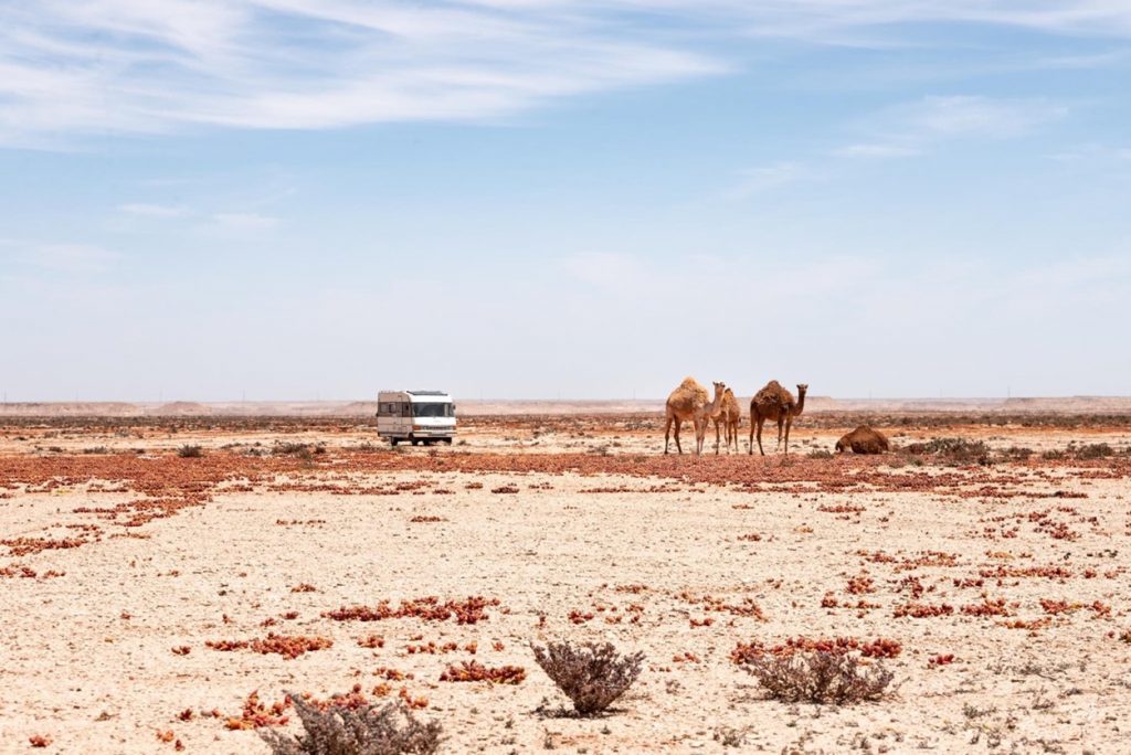 Voyager en van au Maroc