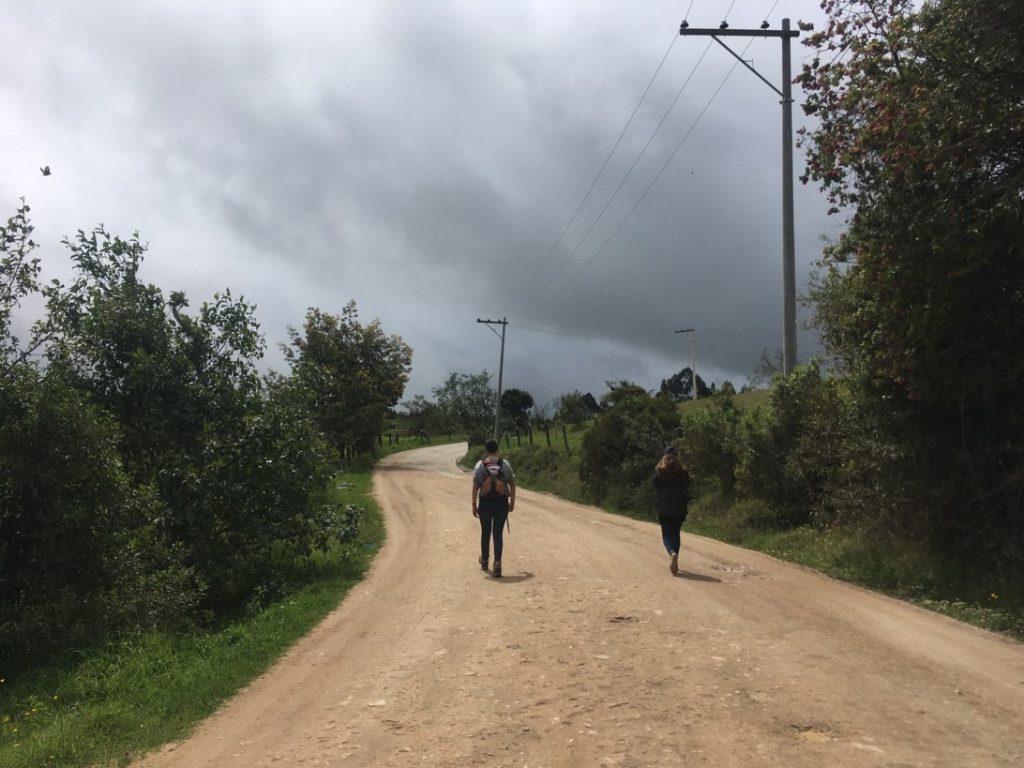 Chemin pour se rendre à la Laguna