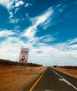 Sur les routes de Namibie