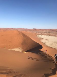 Les dunes rouges de Namibie 