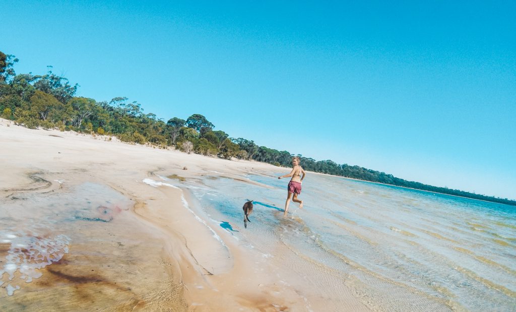 Plage avec kangourou