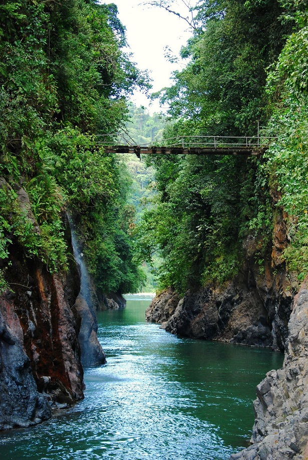 Rivière au cœur de l'un des plus beaux parcs nationaux du Costa Rica