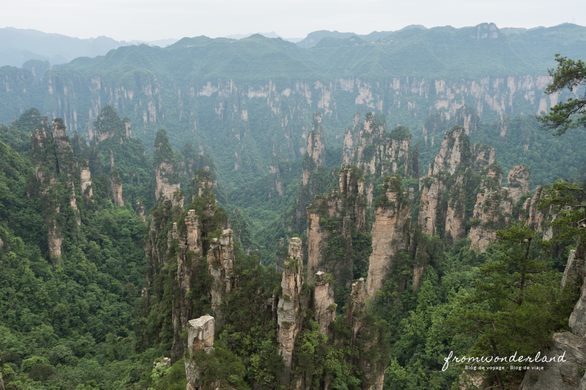 Vue sur les montagnes de Zhangjiajie