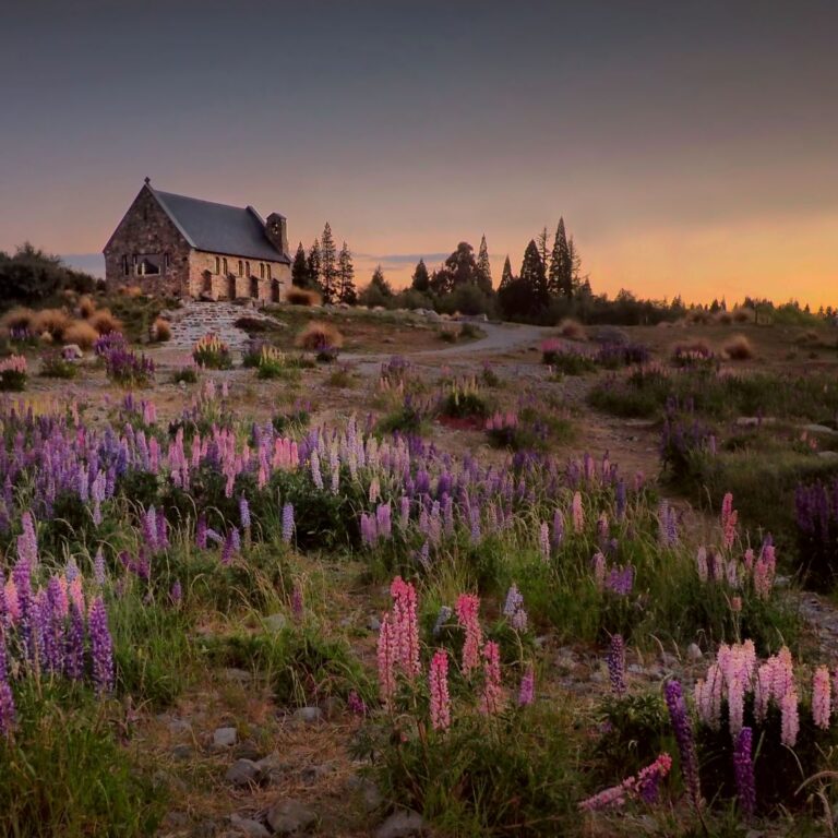 peter-hammer-unsplash-lakeTekapo-Nouvelle-Zelande