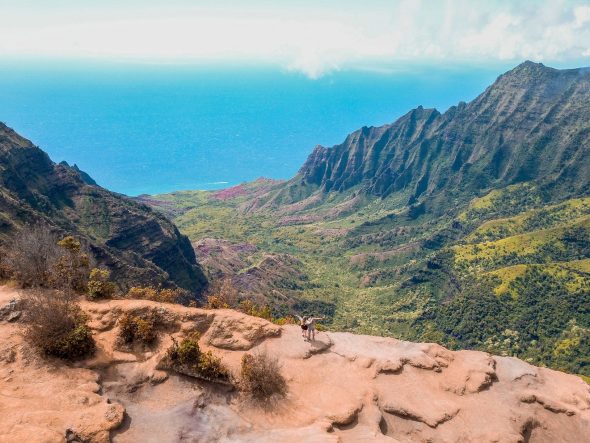 Paysage d'Hawaï du sommet