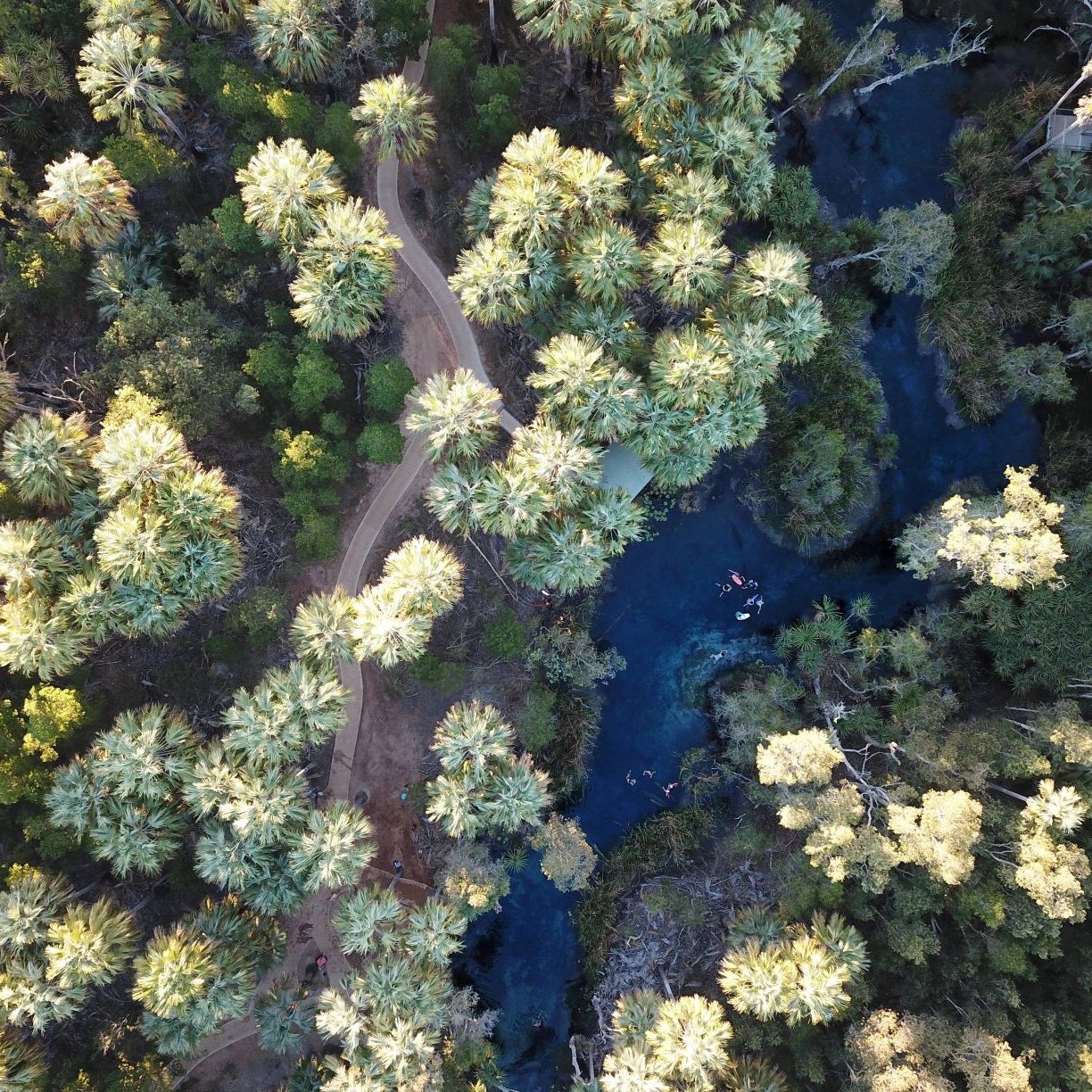 Bitter Springs aux sources de Mataranka