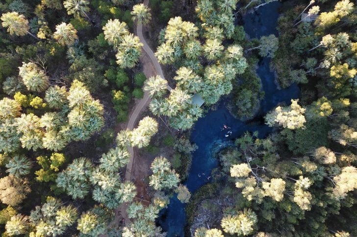 Mataranka-Bitter Springs-Australie-Ava-Assurance_29_ Bitter Springs aux sources de Mataranka