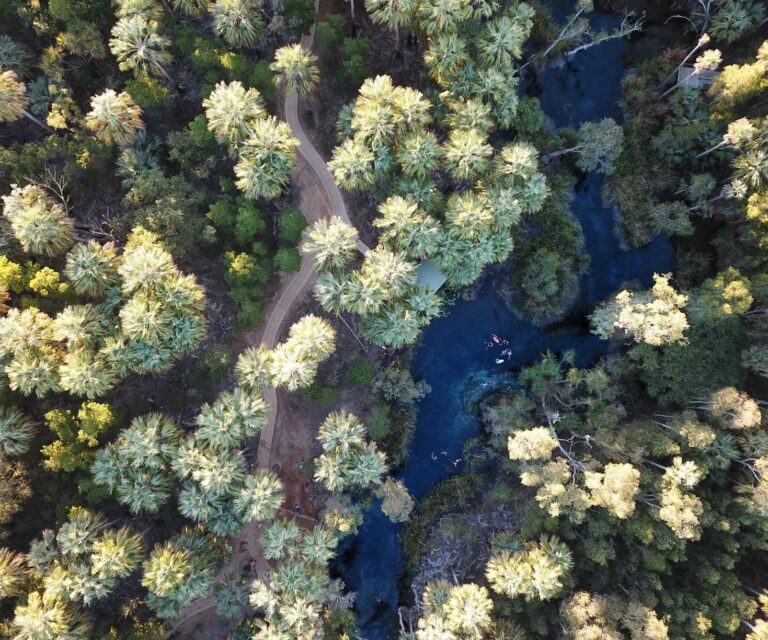 Bitter Springs aux sources de Mataranka