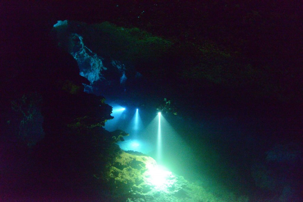 plongée dans le grand bleu