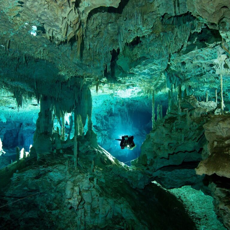Plonger aux Cenotes Mexicaines Plongée Mexique Cenotes