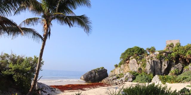 les merveilles de Tulum au Mexique lors d'un PVT