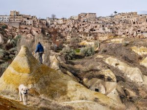 Éduquer son chien en voyage