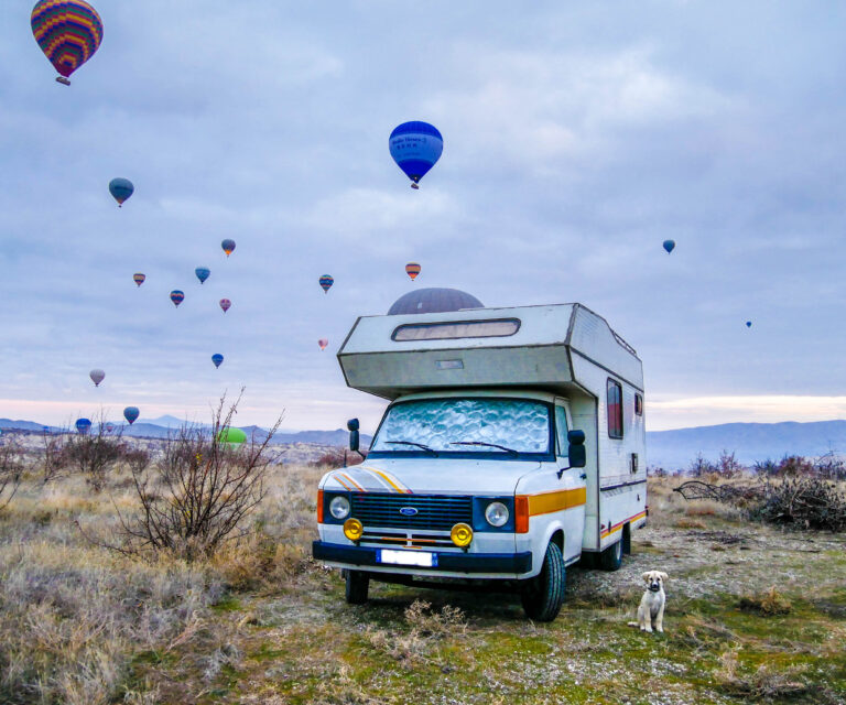 Voyager avec son chien en camping-car & van