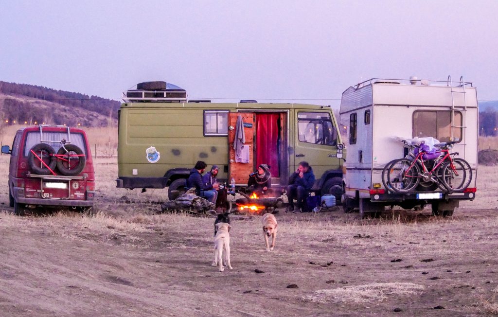 Les chiens en voyage