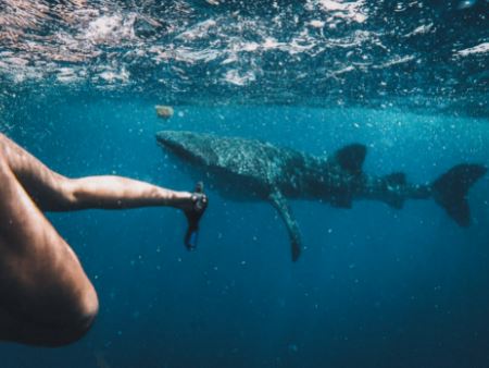 se dépasser en voyage à la mer