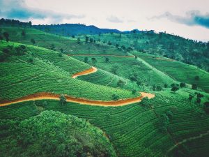 Que voir au Sri Lanka