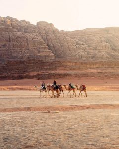 Jordanie covid 19 Wadi Rum desert chameau