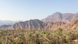 Fujairah aux Émirats Arabes Unis