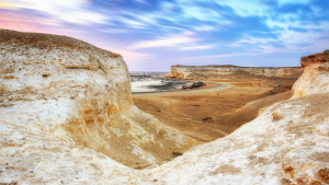 Réserve naturelle de Ras Abrouq, Qatar 