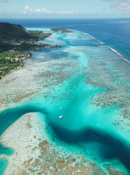 Coup de coeur en Polynésie : la mer turquoise