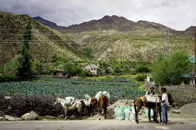 Nature et Inde