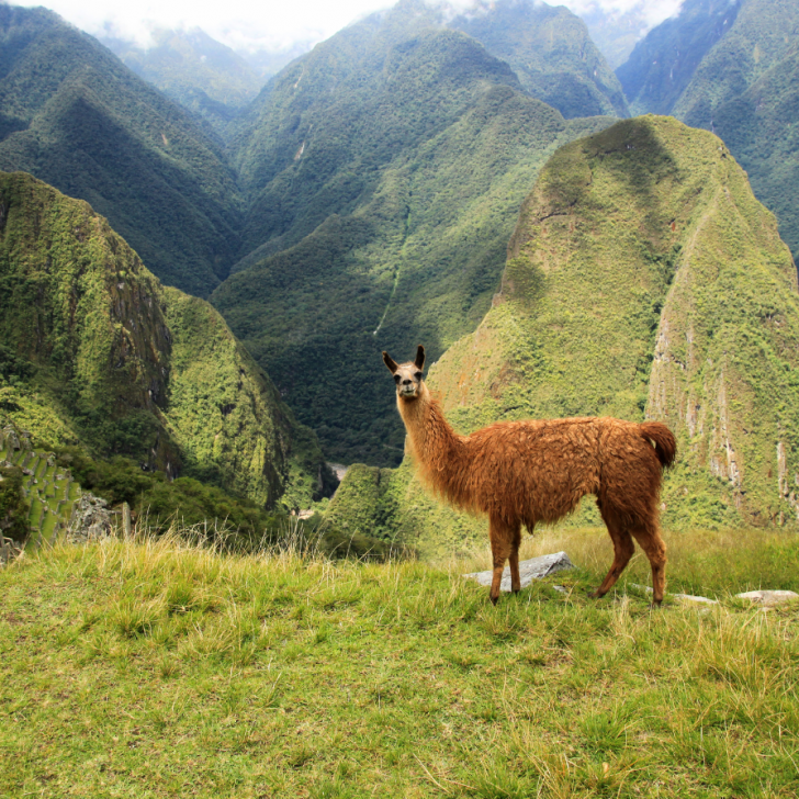 Design sans titre – 2023-09-14T094827.543 Amérique du Sud