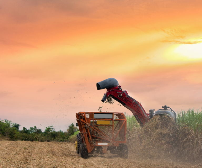 AGRICULTURE