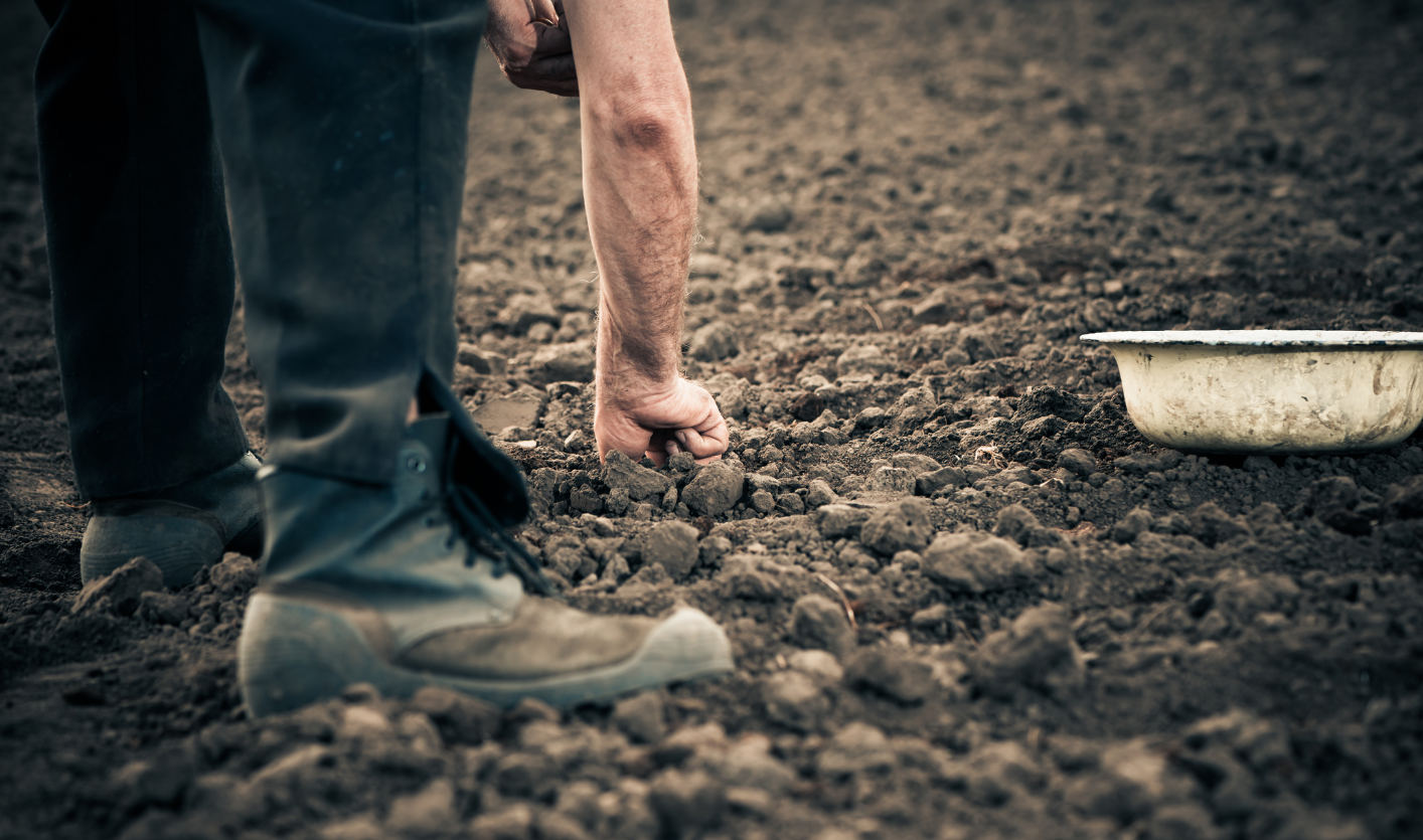 Agriculture