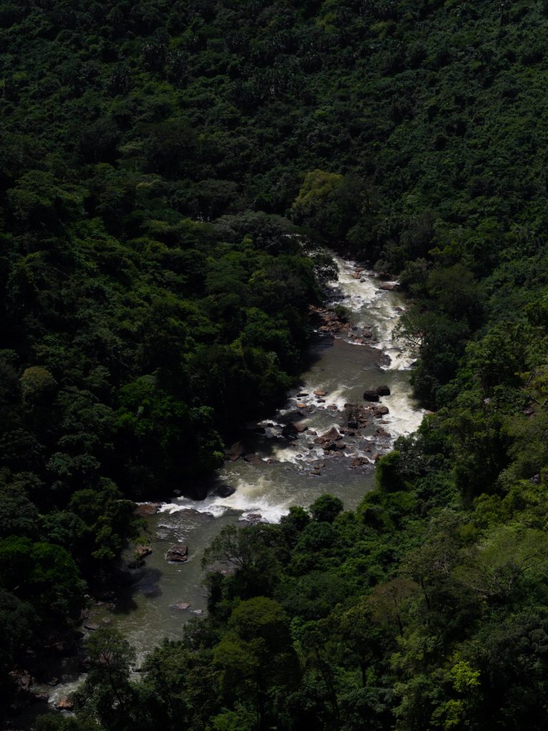 saala