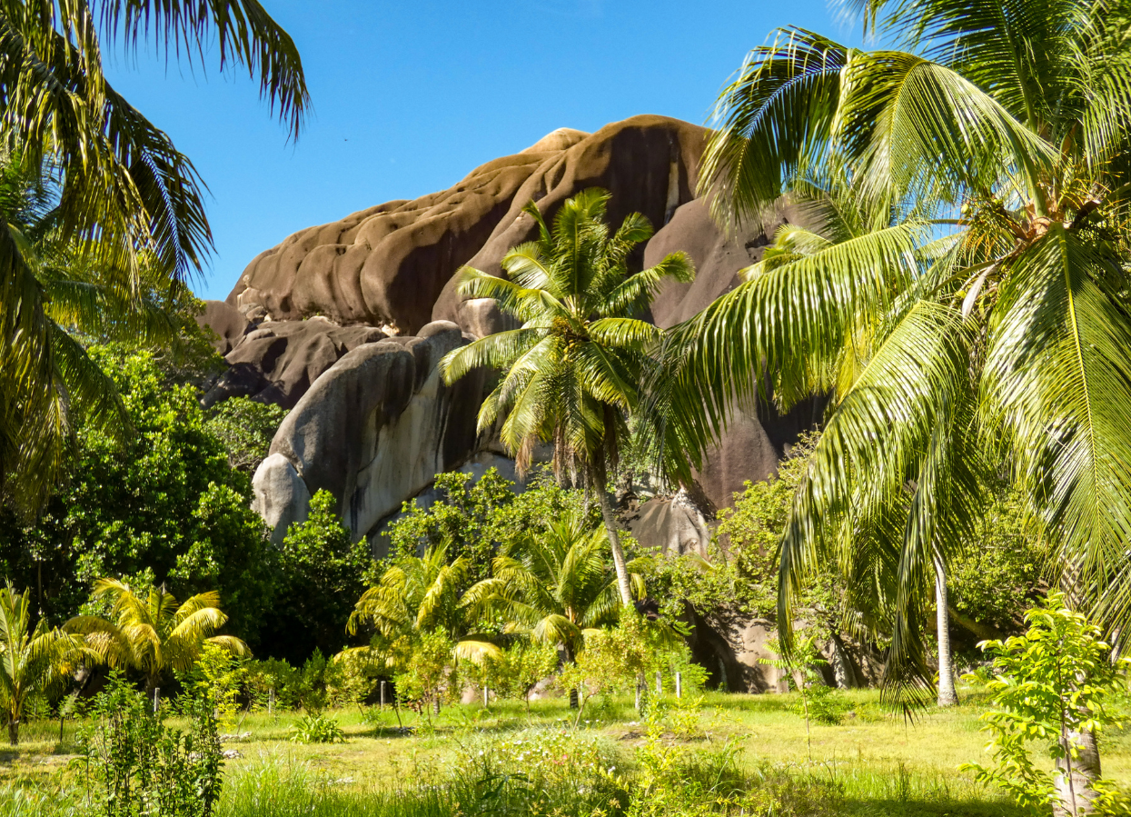 seychelles