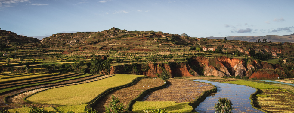 Madagascar