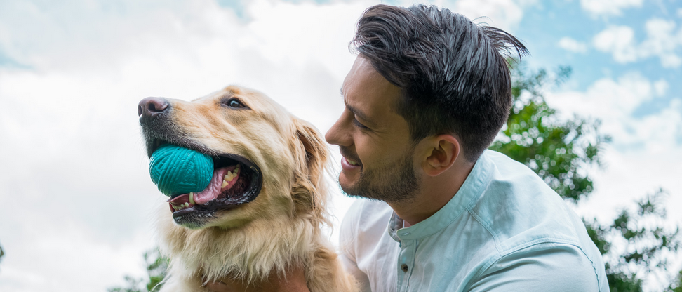 Un chien et son maitre