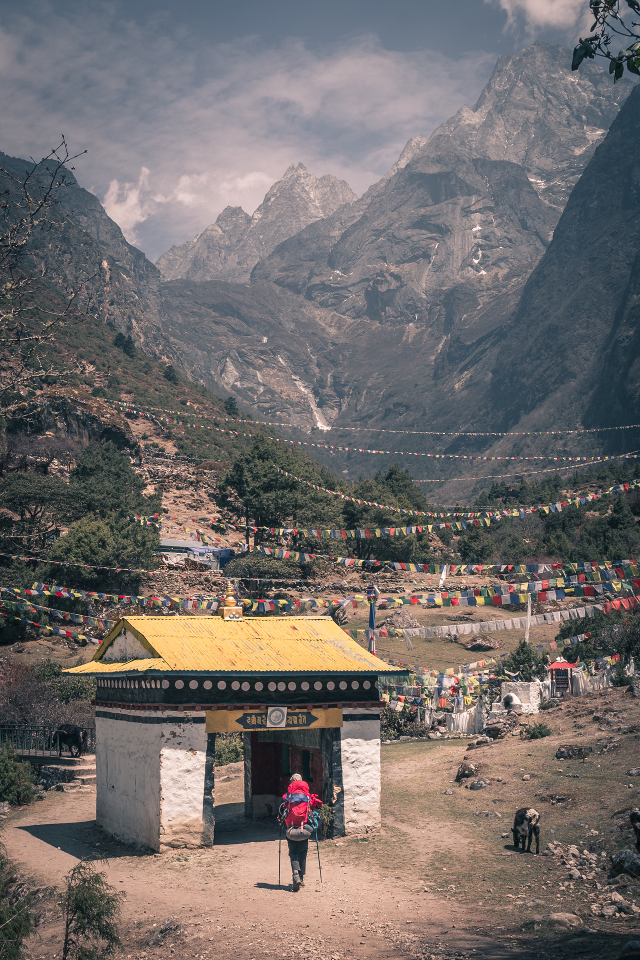 vallée de l'Everest.