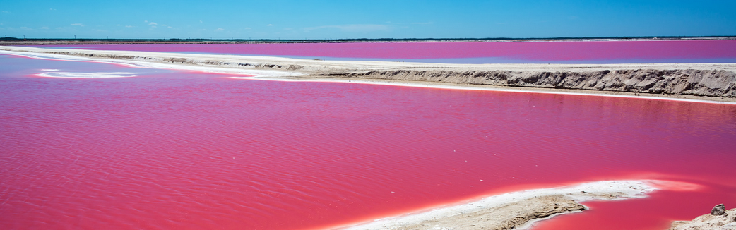 Le lagon Las Coloradas