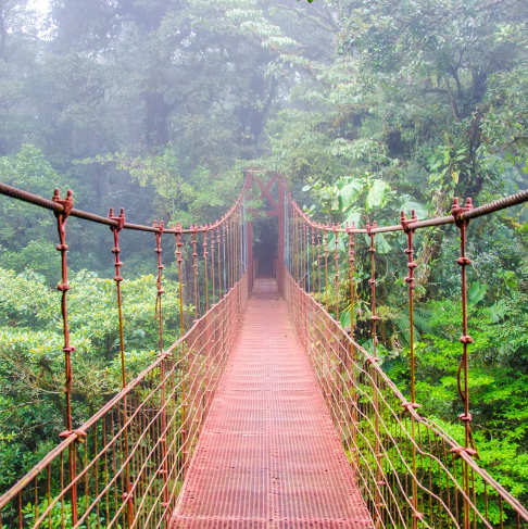 Capture d’écran 2024-10-23 095904 Parc nationnal costa rica