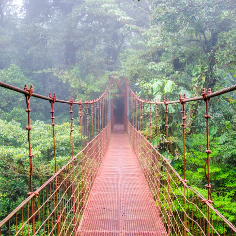 Parc nationnal costa rica
