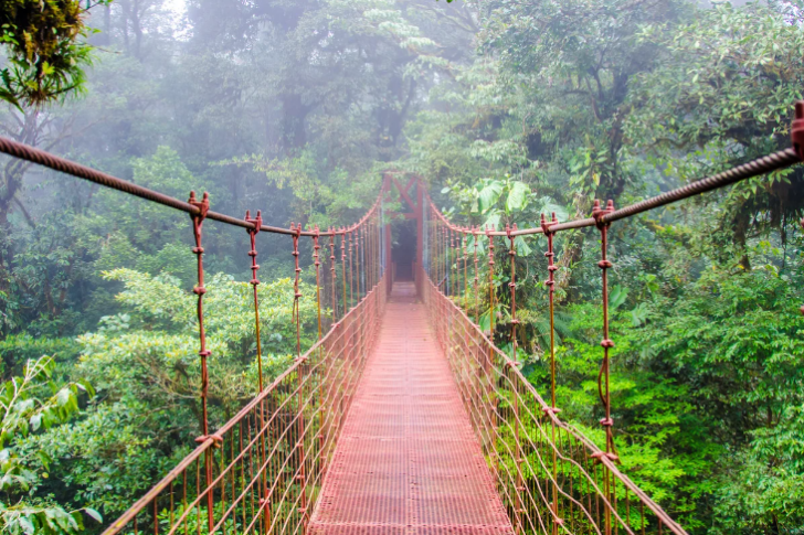 Capture d’écran 2024-10-23 095904 Parc nationnal costa rica