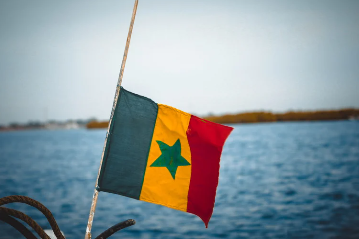 Capture d’écran 2024-10-31 101808 drapeau senegal