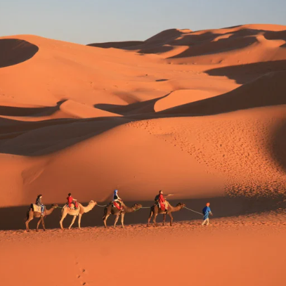 Capture d’écran 2024-10-31 120006 maroc desert