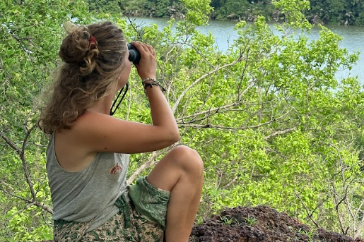 Capture d’écran 2024-10-31 160102