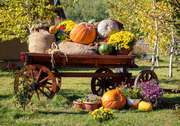 Fruits d'Automne