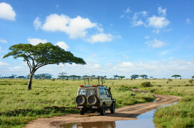 safari en afrique